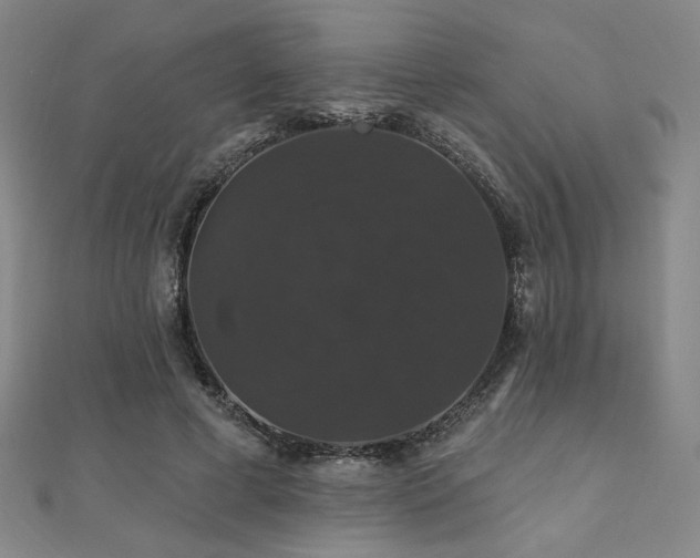 X0000110700593200906121335