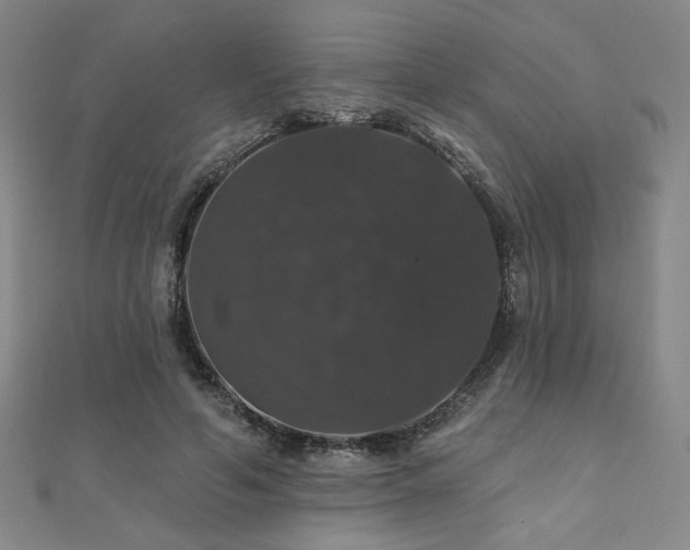 X0000110700594200906121335