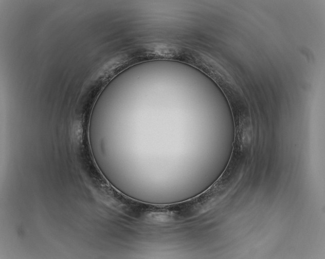 X0000110700595200906121335