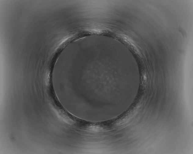 X0000110700596200906121335