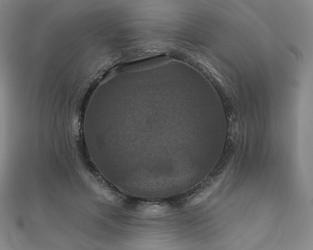X0000110700597200906121335