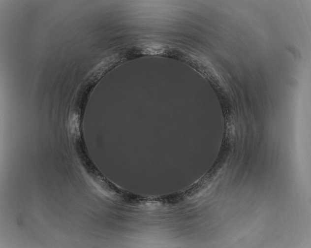 X0000110700598200906121335