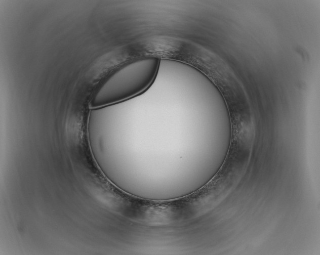 X0000110700599200906121335