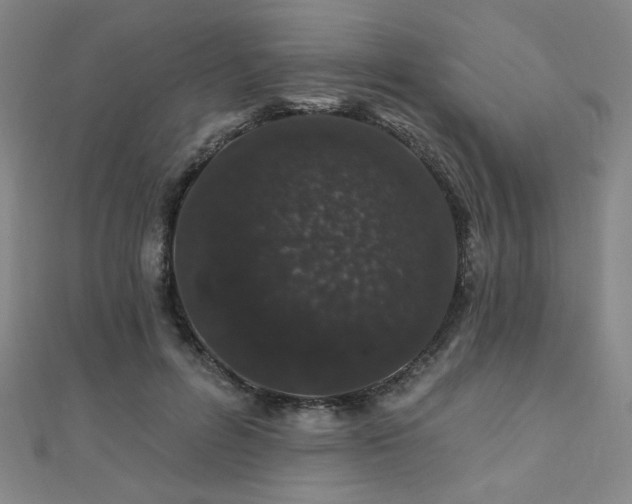 X0000110700600200906121335
