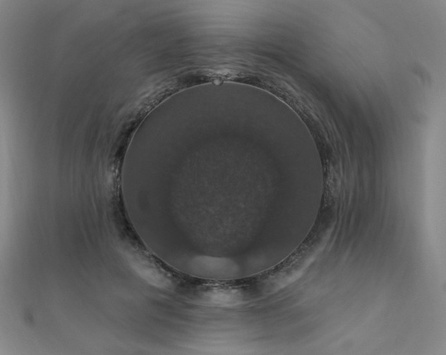 X0000110700601200906121335