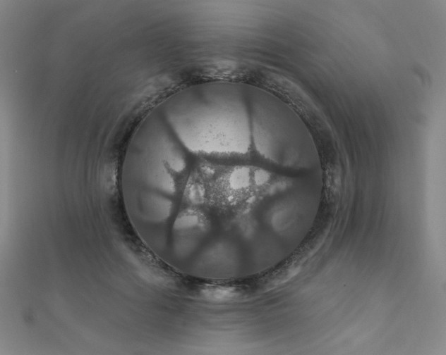 X0000110700602200906121335