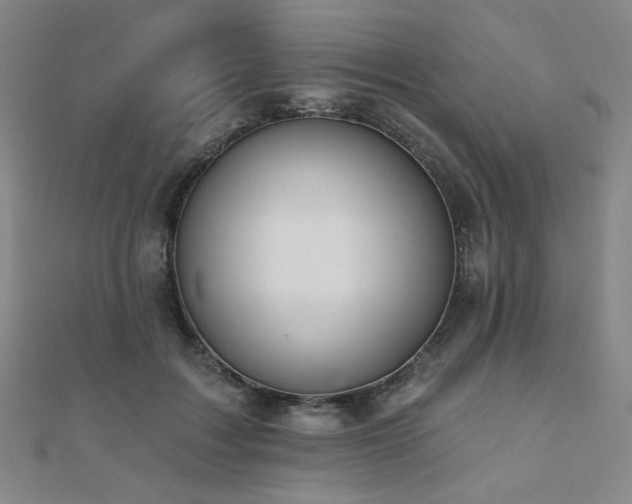 X0000110700603200906121335