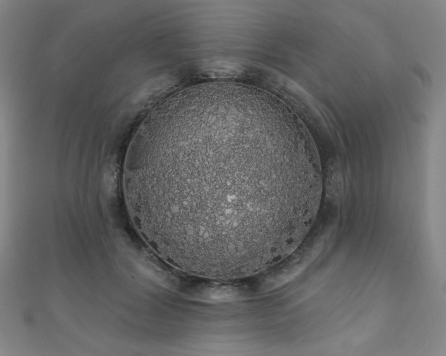X0000110700604200906121335