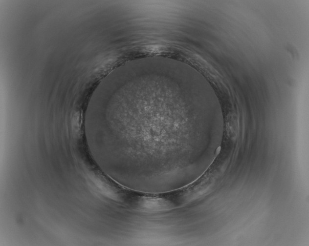 X0000110700605200906121335