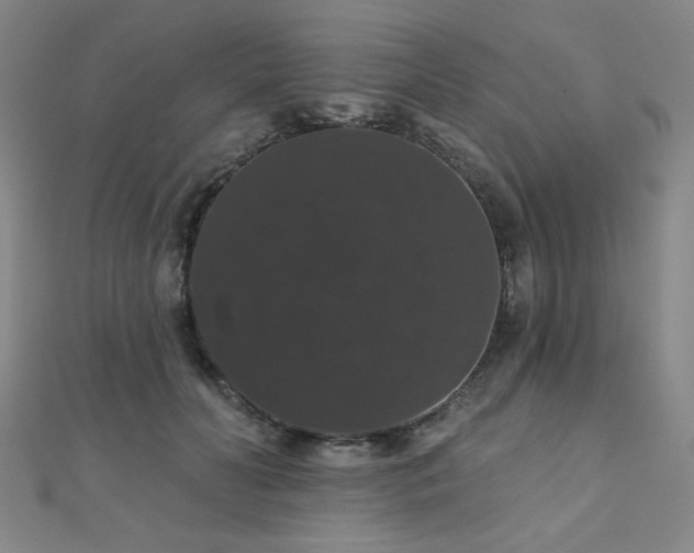 X0000110700606200906121335
