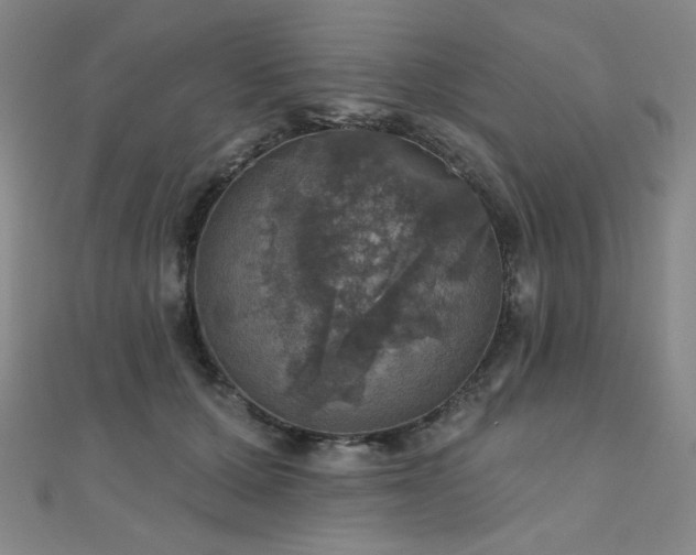 X0000110700607200906121335