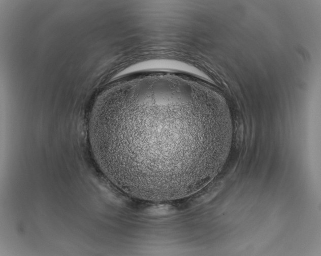 X0000110700609200906121335