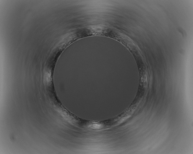 X0000110700610200906121335