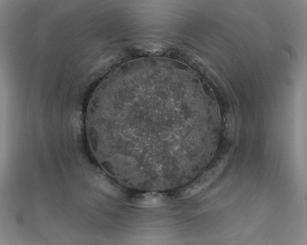 X0000110700612200906121335