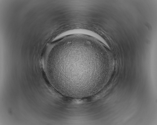 X0000110700613200906121335