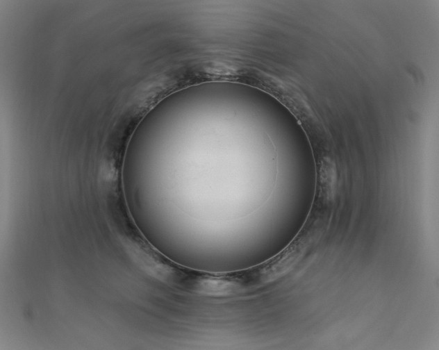 X0000110700614200906121335