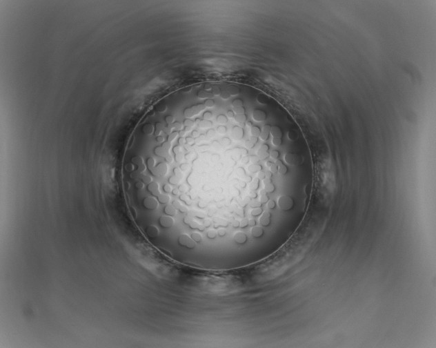 X0000110700615200906121335