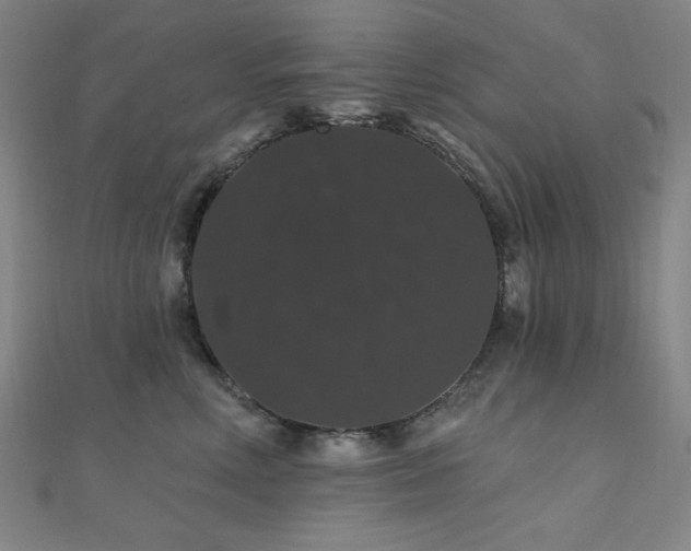 X0000110700618200906121335
