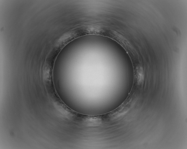 X0000110700619200906121335