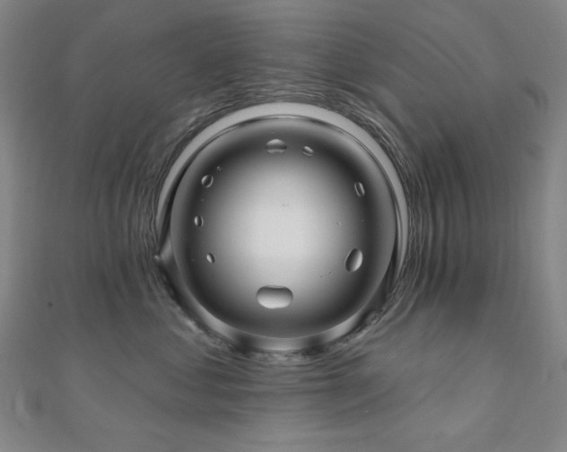 X0000110700621200906121335