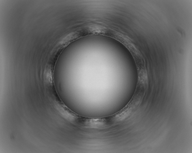 X0000110700622200906121335