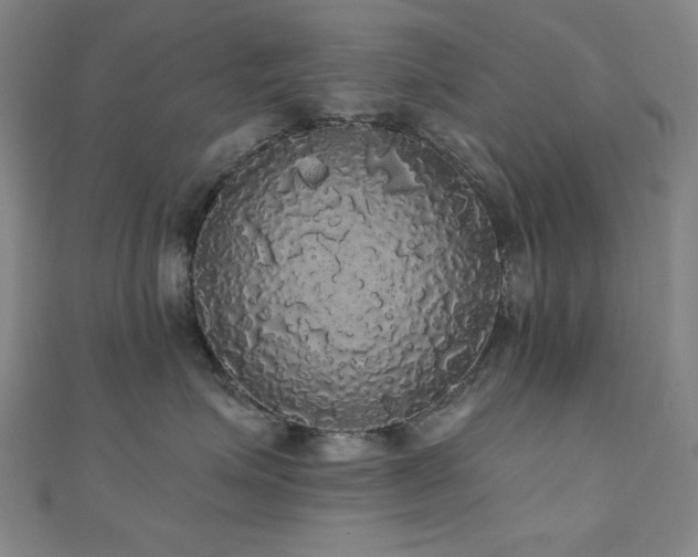 X0000110700623200906121335