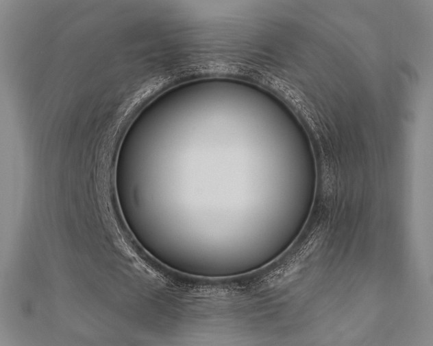 X0000110700625200906121334