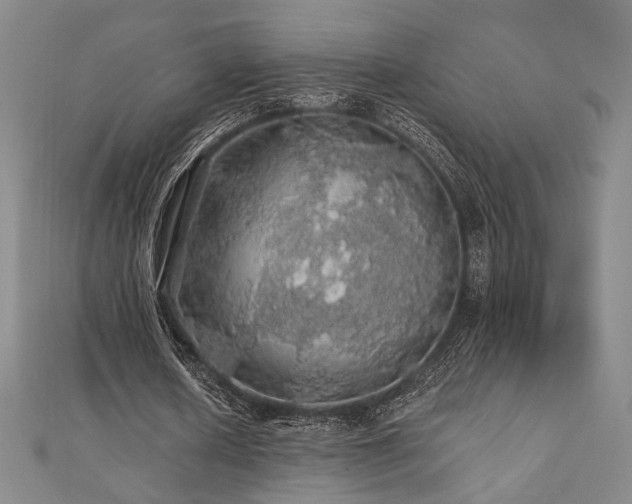 X0000110700626200906121334