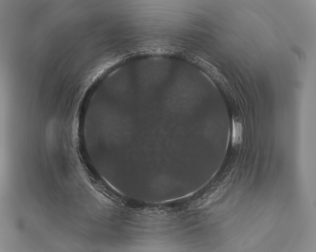 X0000110700627200906121334