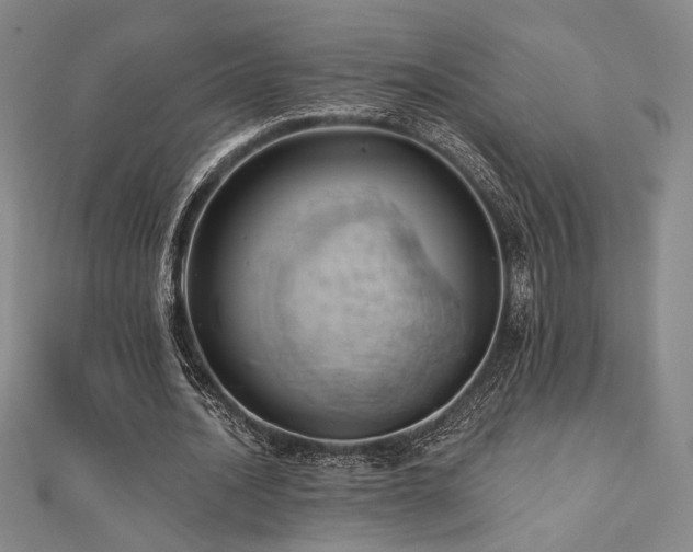 X0000110700628200906121334