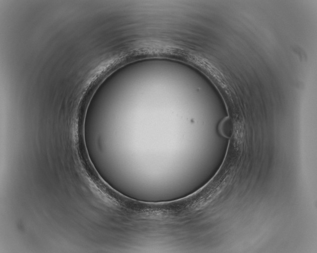 X0000110700629200906121334