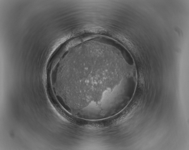 X0000110700630200906121334