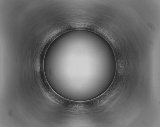 X0000110700631200906121334