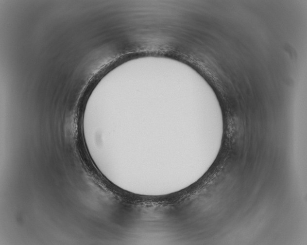 X0000110700632200906121334
