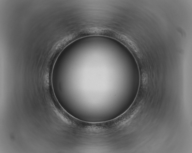 X0000110700633200906121334