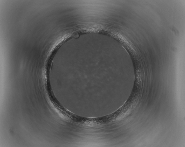 X0000110700634200906121334
