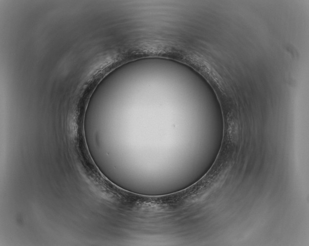 X0000110700635200906121334