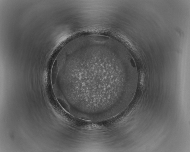X0000110700636200906121334