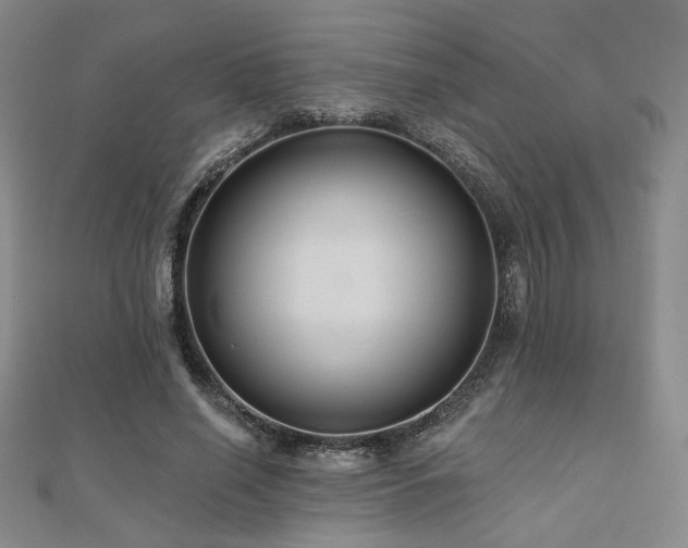 X0000110700638200906121334