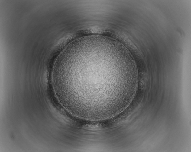 X0000110700639200906121334