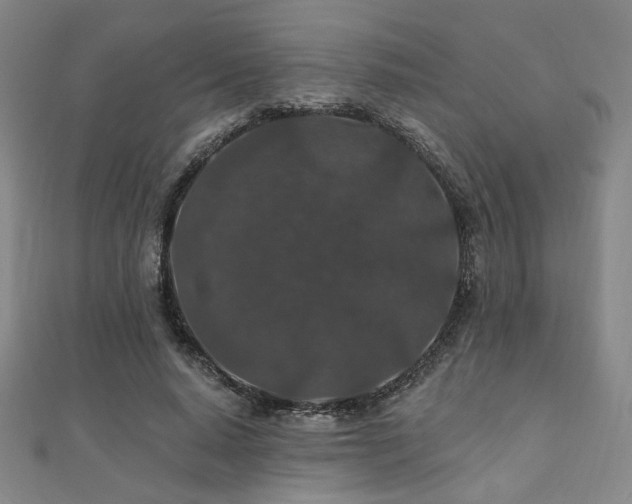 X0000110700640200906121334