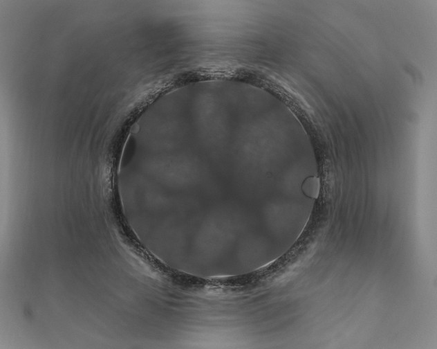 X0000110700641200906121334