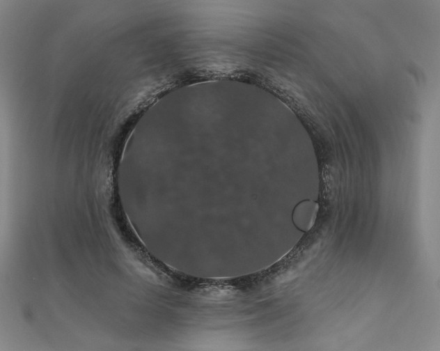 X0000110700642200906121334