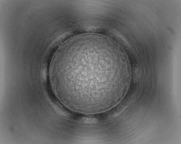 X0000110700644200906121334