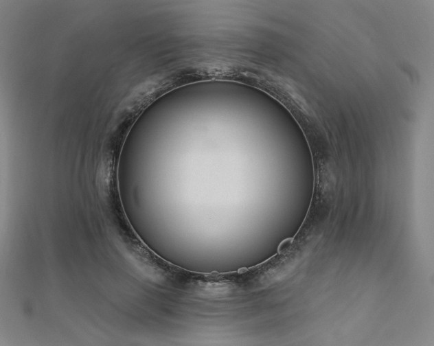X0000110700645200906121334
