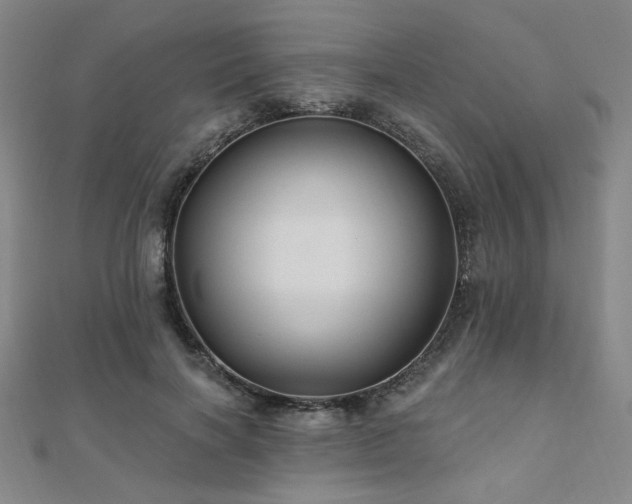 X0000110700646200906121334