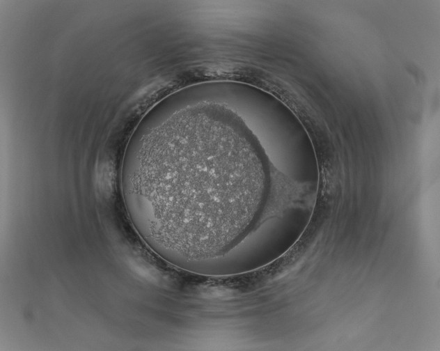 X0000110700648200906121334
