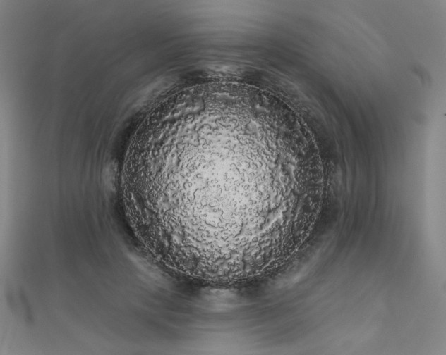 X0000110700649200906121334