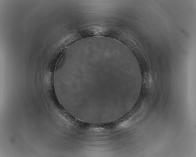 X0000110700650200906121334