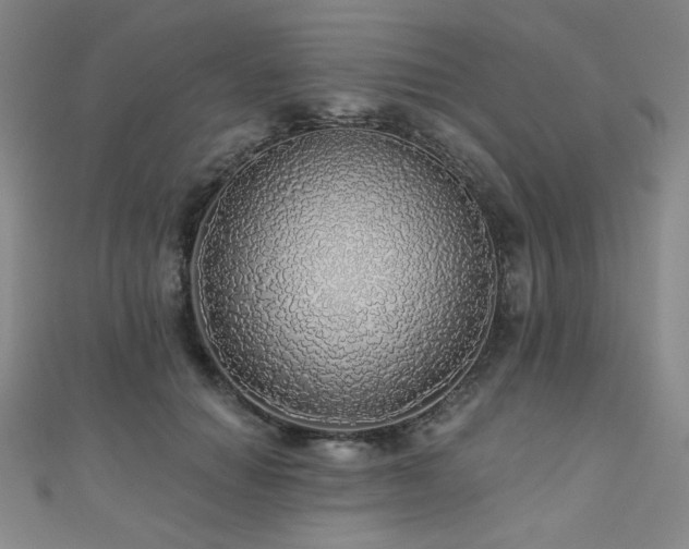 X0000110700654200906121335